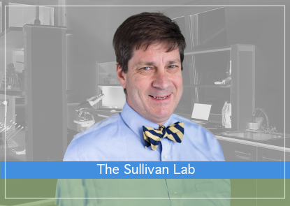 The-Sullivan-Lab.png
