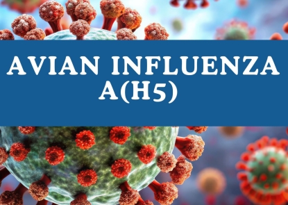 Avian Influenza A(H5)