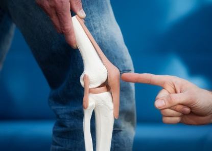 A person holds a human skeleton's leg next to their own leg as another person points at the knee joint. 